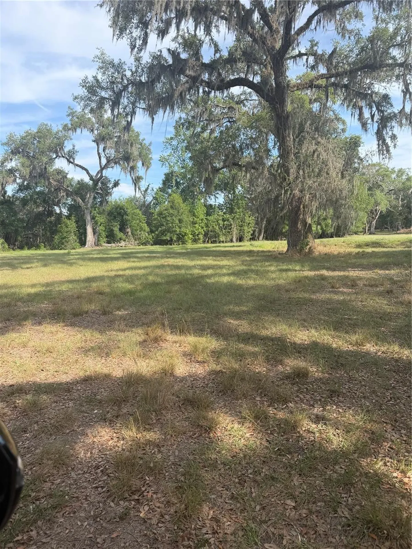 000 Palomino Lakes Drive Dade City FL 33523
