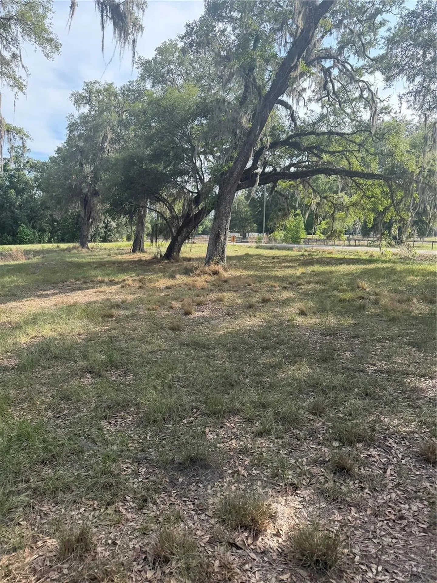 000 Palomino Lakes Drive Dade City FL 33523