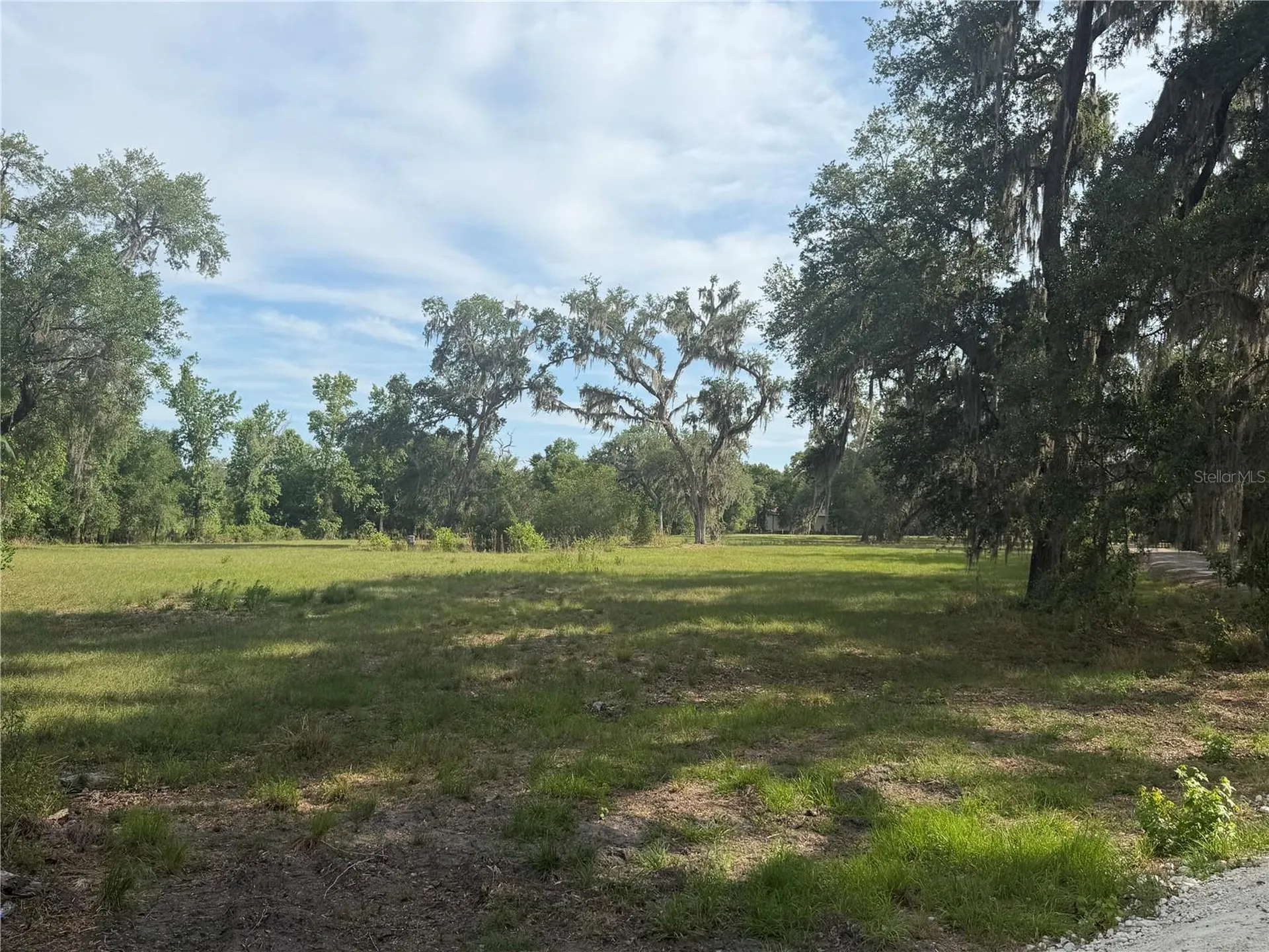 000 Palomino Lakes Drive Dade City FL 33523