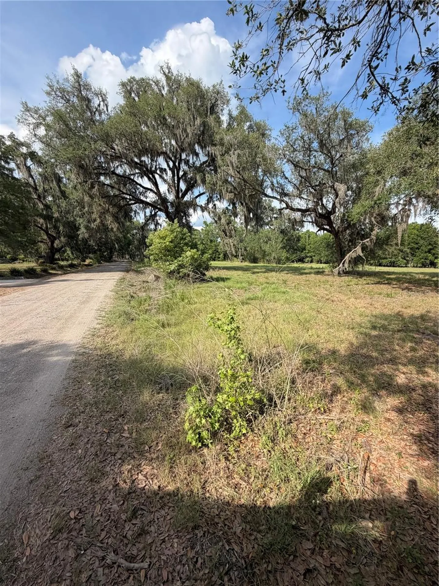 000 Palomino Lakes Drive Dade City FL 33523
