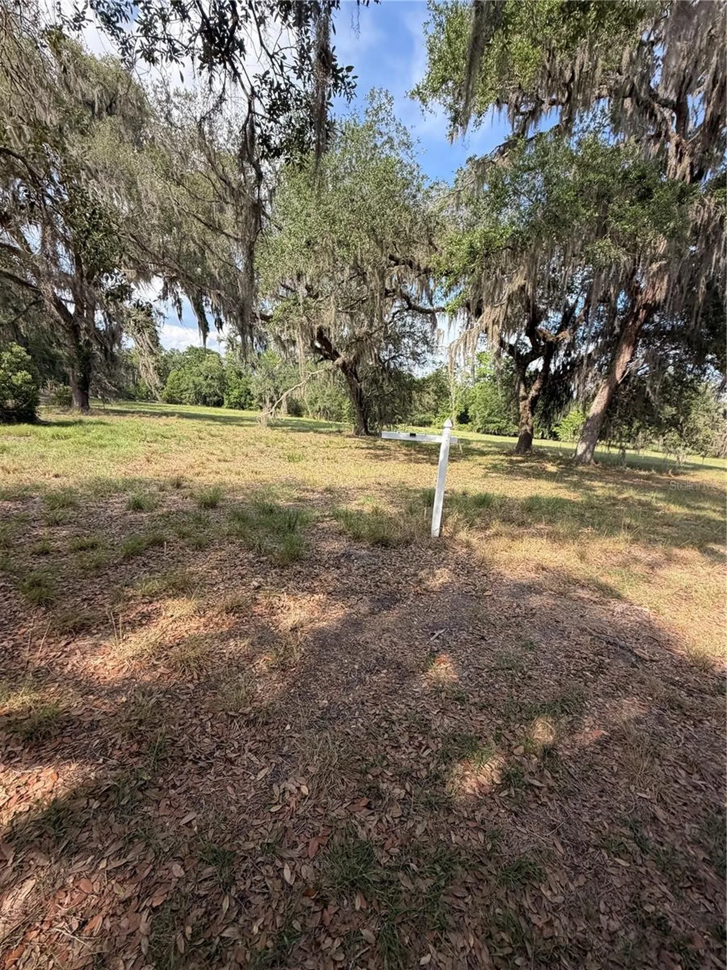 000 Palomino Lakes Drive Dade City FL 33523