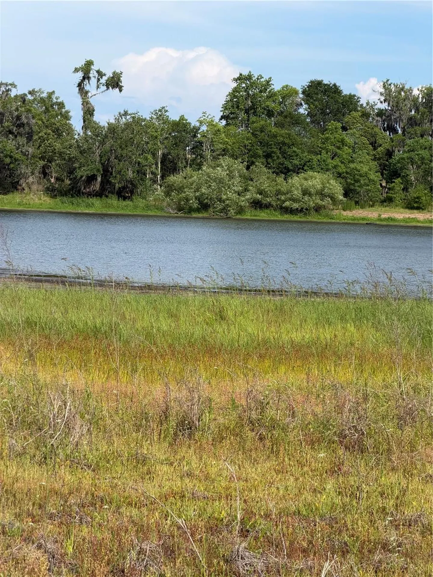 000 Palomino Lakes Drive Dade City FL 33523