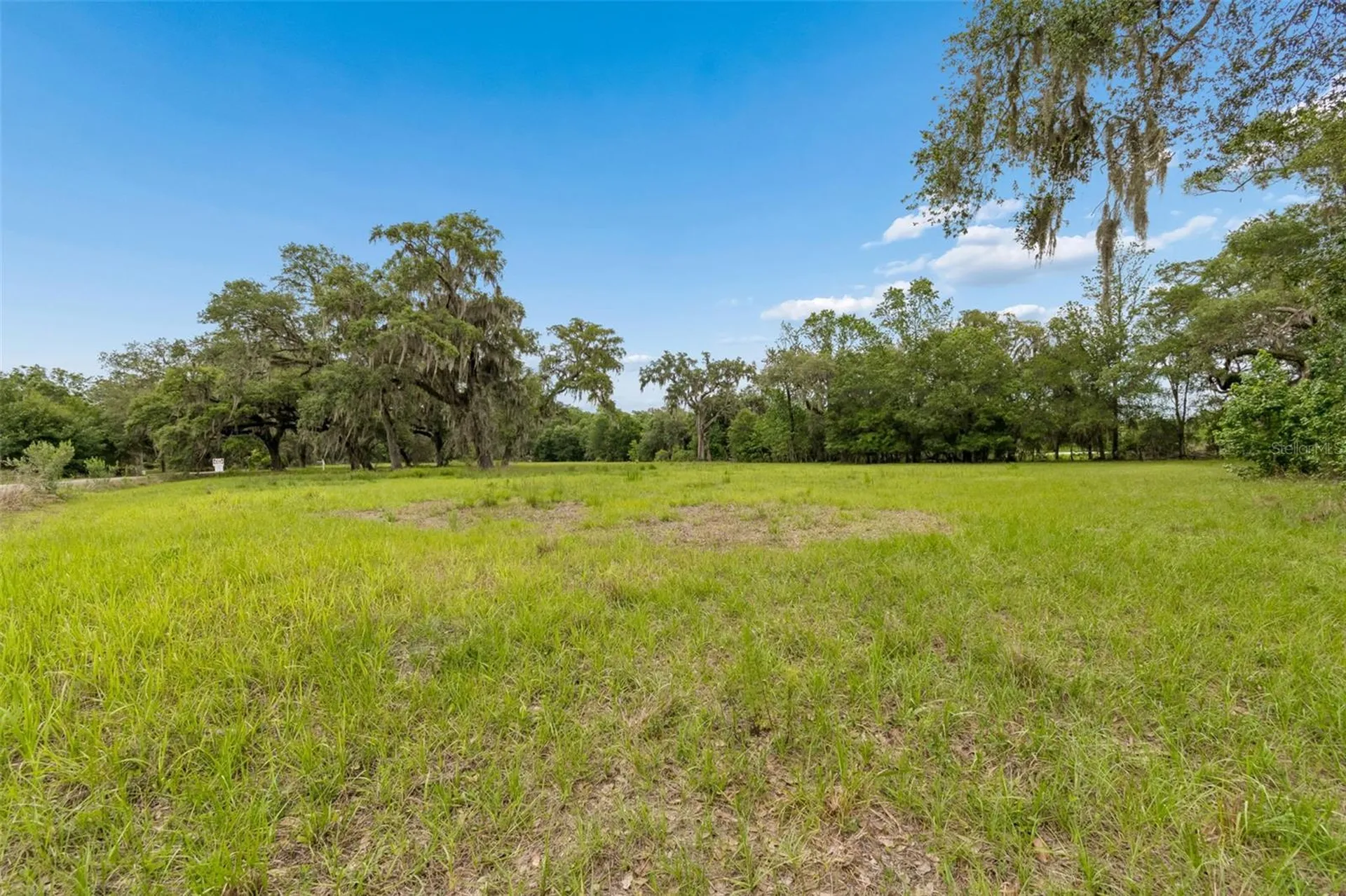 000 Palomino Lakes Drive Dade City FL 33523