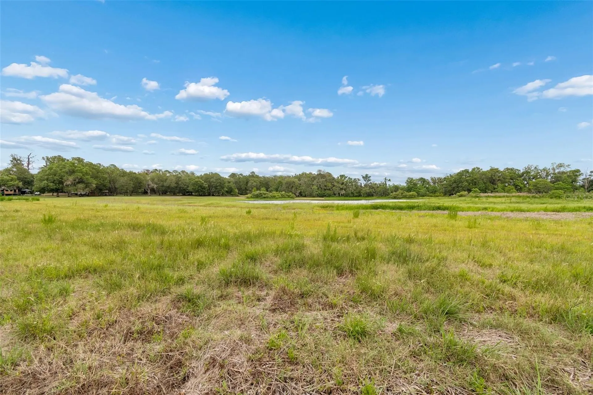 000 Palomino Lakes Drive Dade City FL 33523