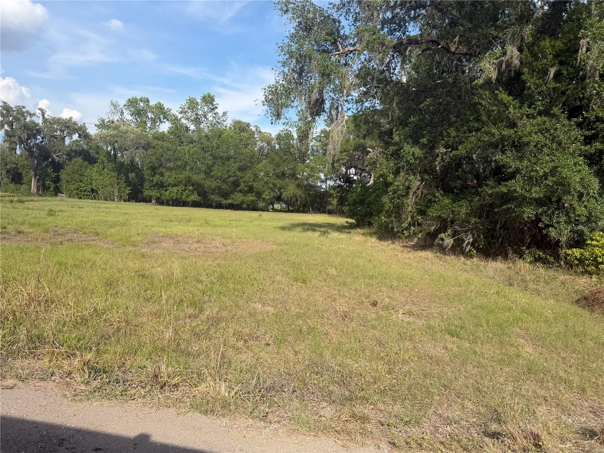 000 Palomino Lakes Drive Dade City FL 33523