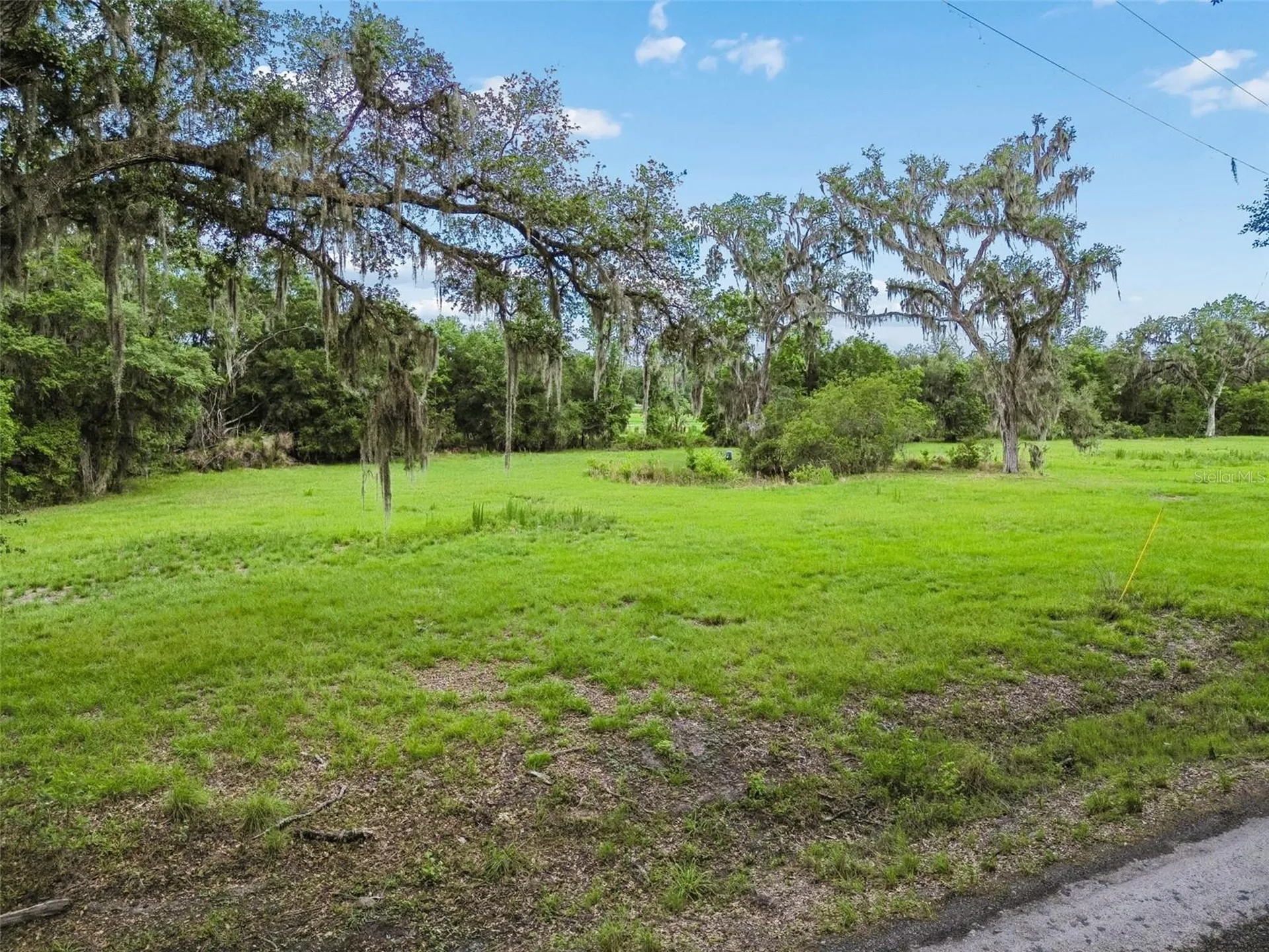 000 Palomino Lakes Drive Dade City FL 33523