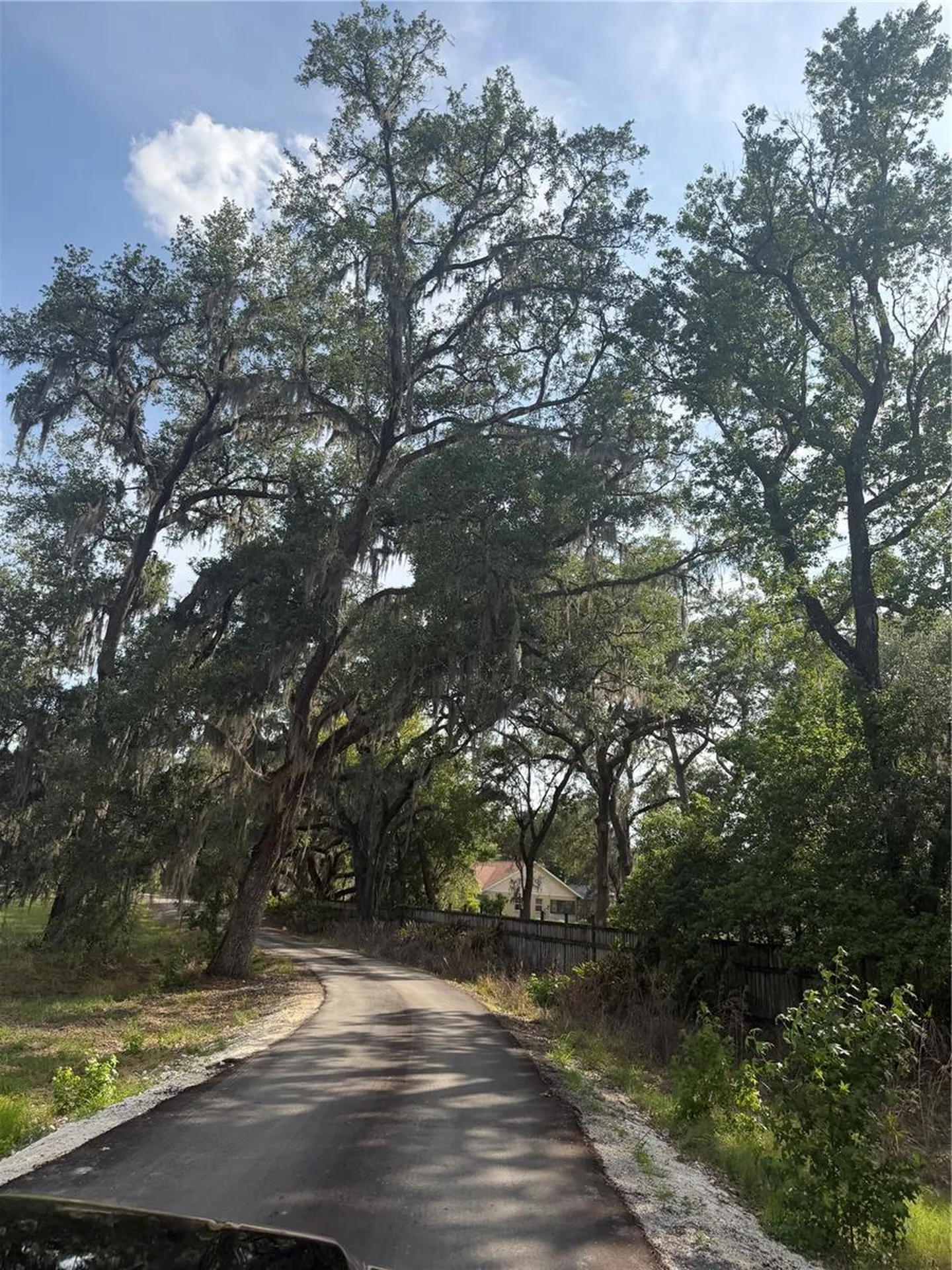 000 Palomino Lakes Drive Dade City FL 33523