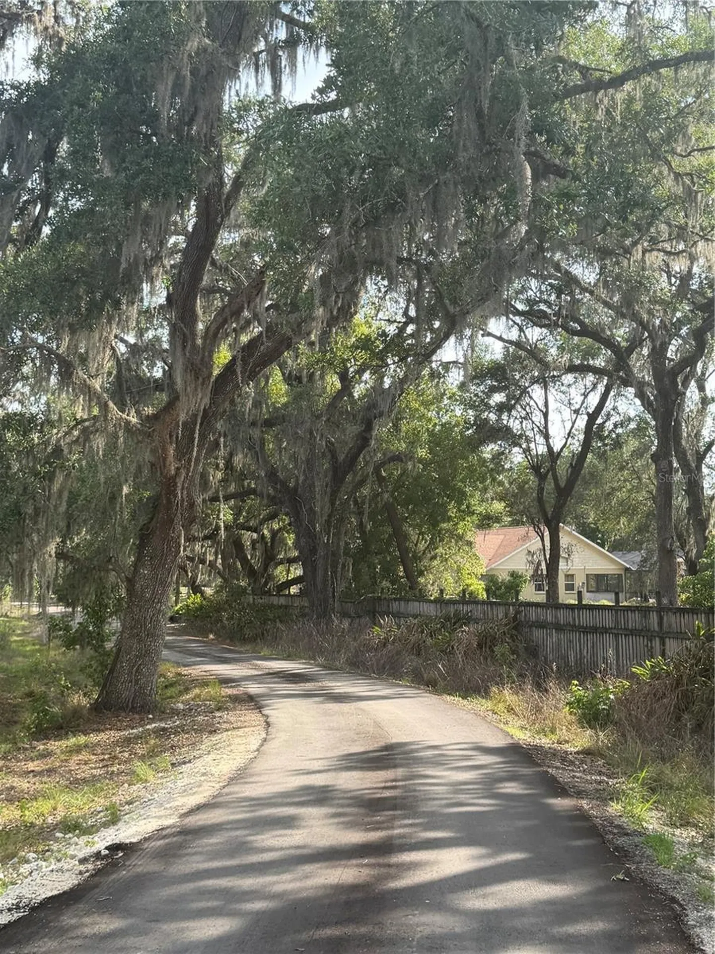 000 Palomino Lakes Drive Dade City FL 33523