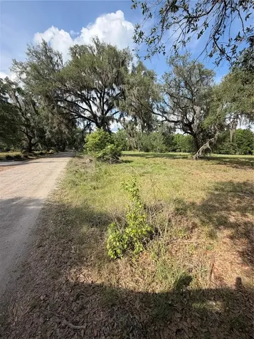 000 Palomino Lakes Drive Dade City FL 33523