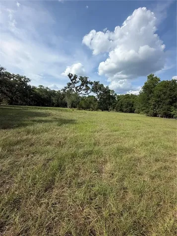 000 Palomino Lakes Drive Dade City FL 33523