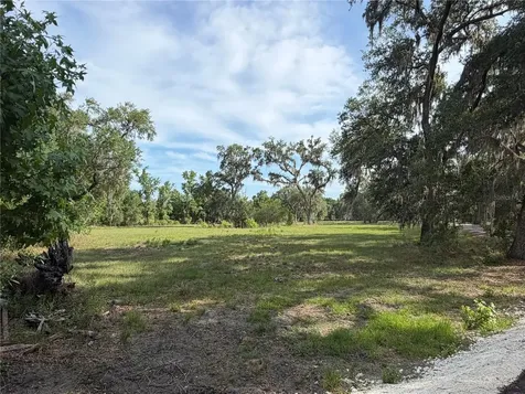 000 Palomino Lakes Drive Dade City FL 33523