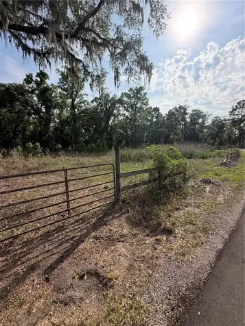 000 Palomino Lakes Drive Dade City FL 33523