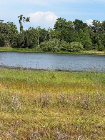 000 Palomino Lakes Drive Dade City FL 33523