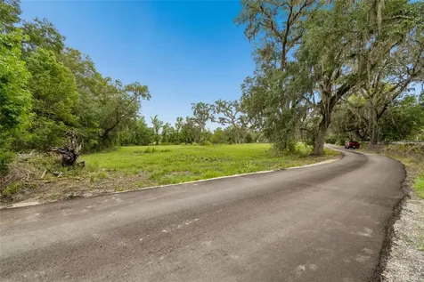 000 Palomino Lakes Drive Dade City FL 33523
