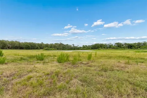 000 Palomino Lakes Drive Dade City FL 33523