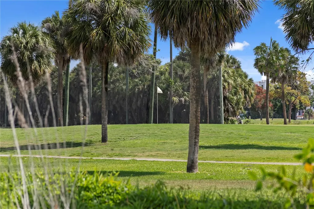 7016 Pelican Island Drive Tampa FL 33634