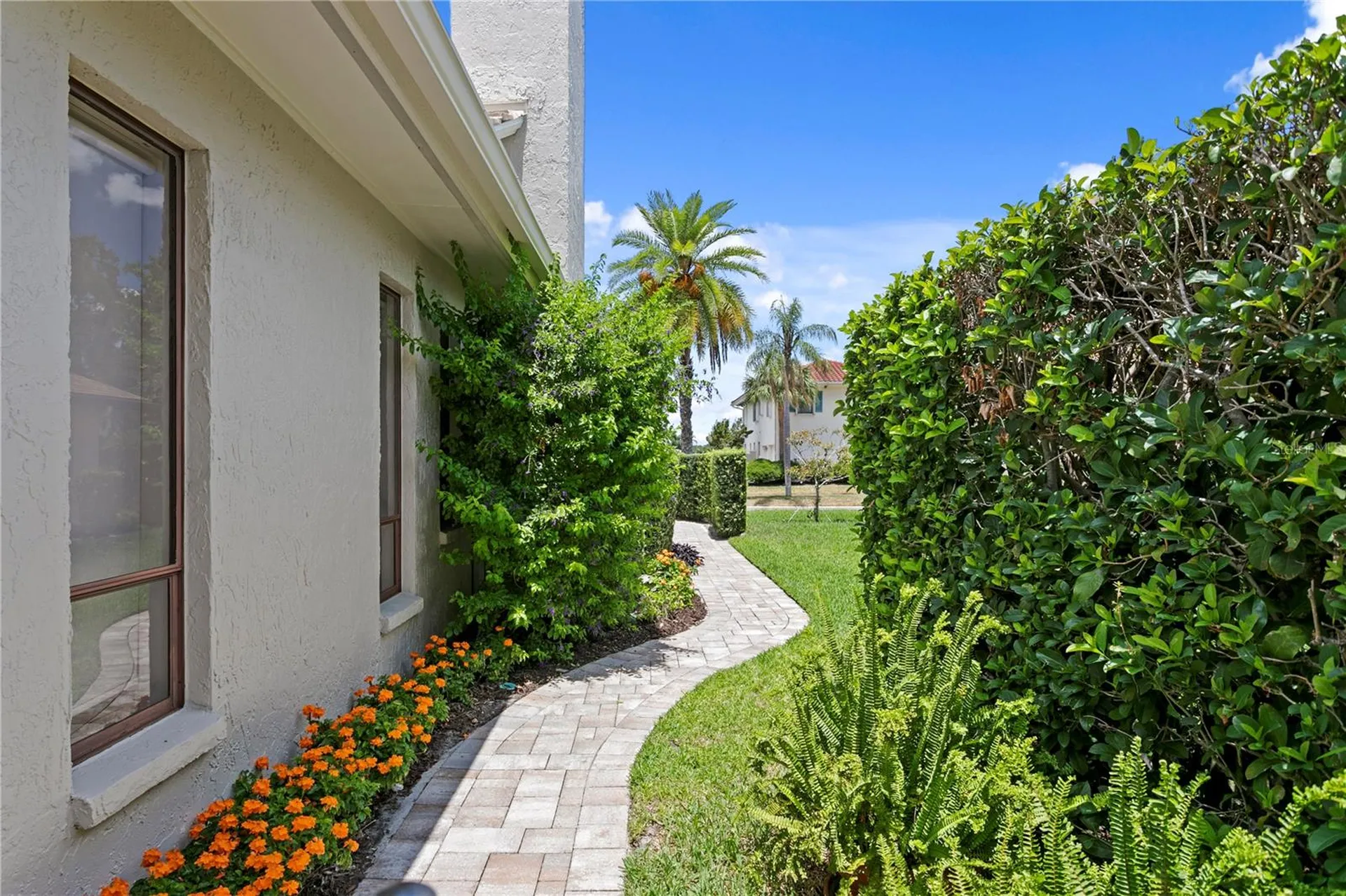 7016 Pelican Island Drive Tampa FL 33634