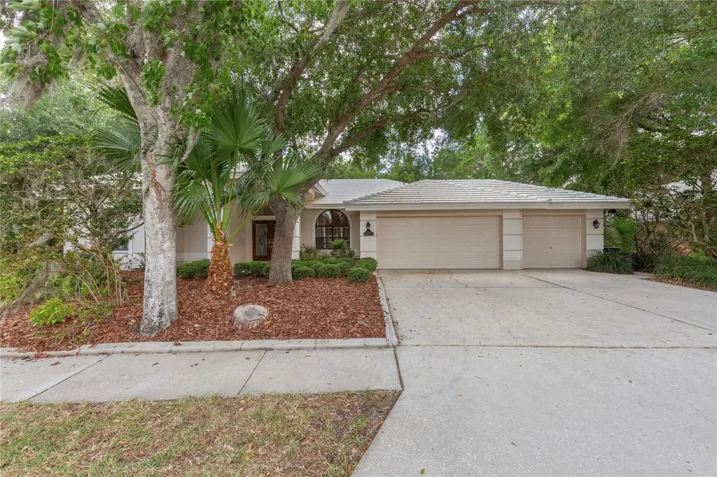 50 Kelleys Trail Oldsmar FL 34677