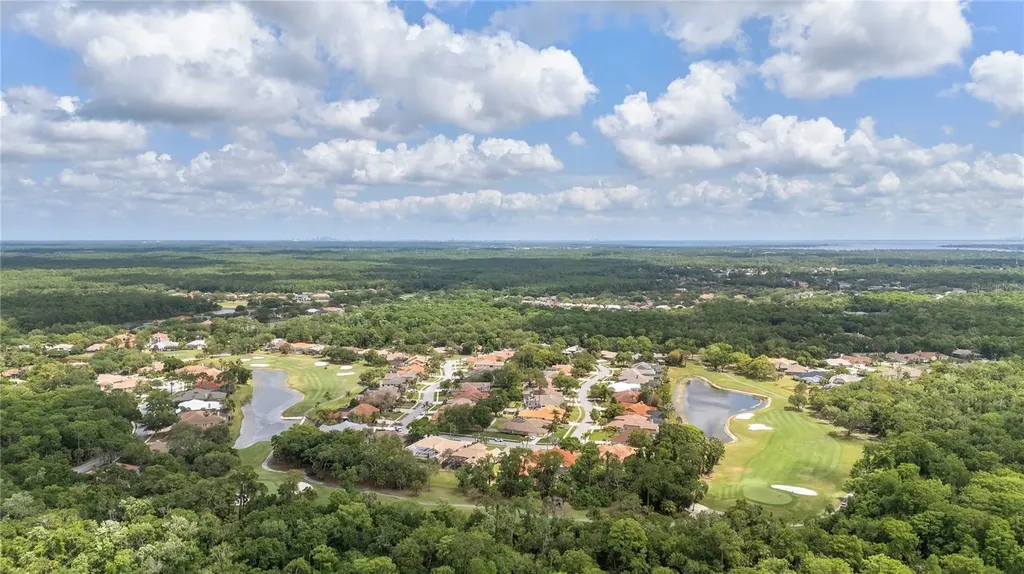 50 Kelleys Trail Oldsmar FL 34677