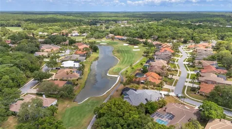 50 Kelleys Trail Oldsmar FL 34677