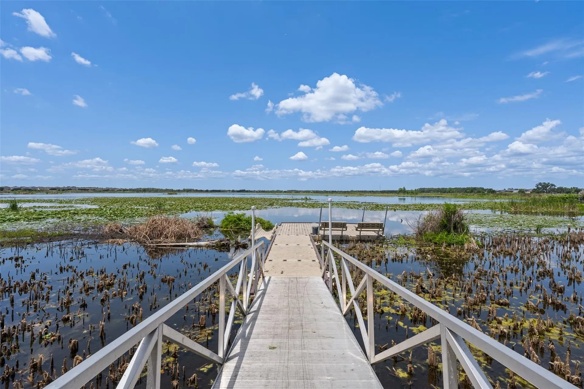 31823 Sapna Chime Drive Wesley Chapel FL 33545