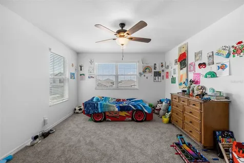 31823 Sapna Chime Drive Wesley Chapel FL 33545