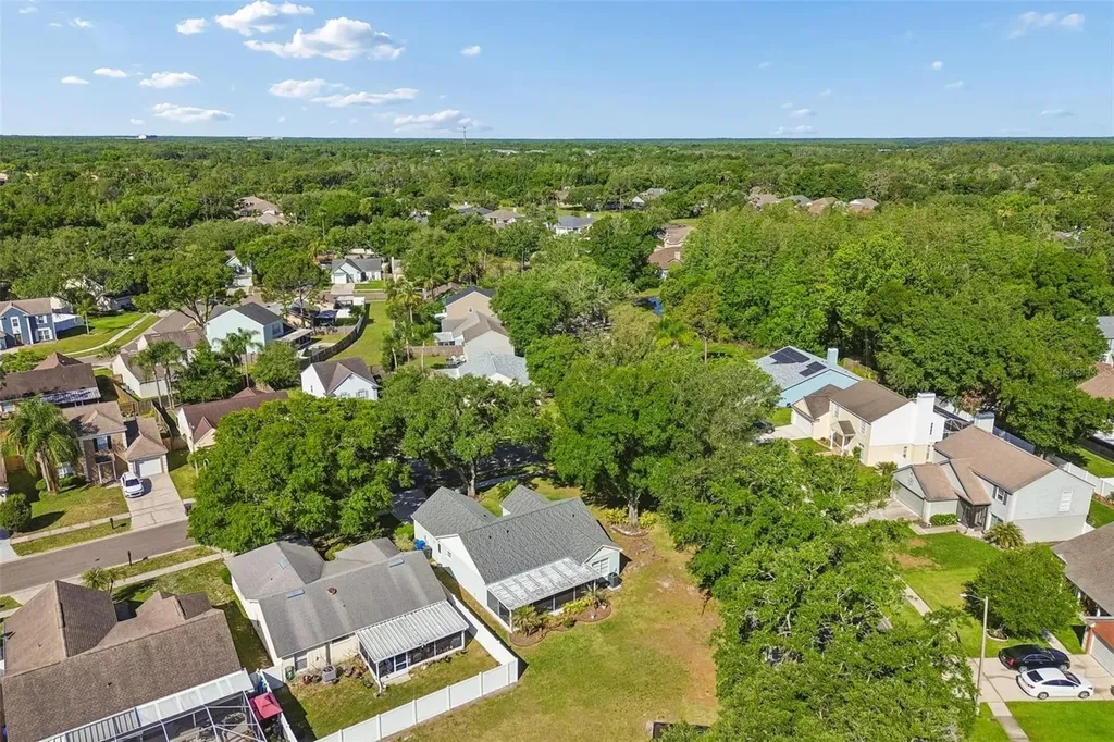 9702 Little Pond Way Tampa FL 33647