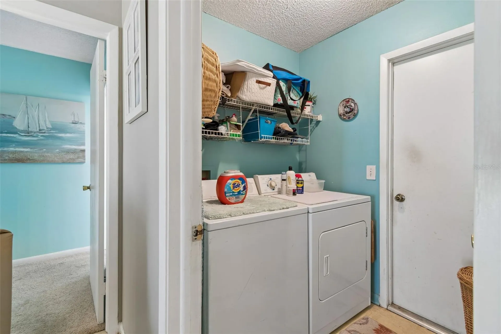 9702 Little Pond Way Tampa FL 33647