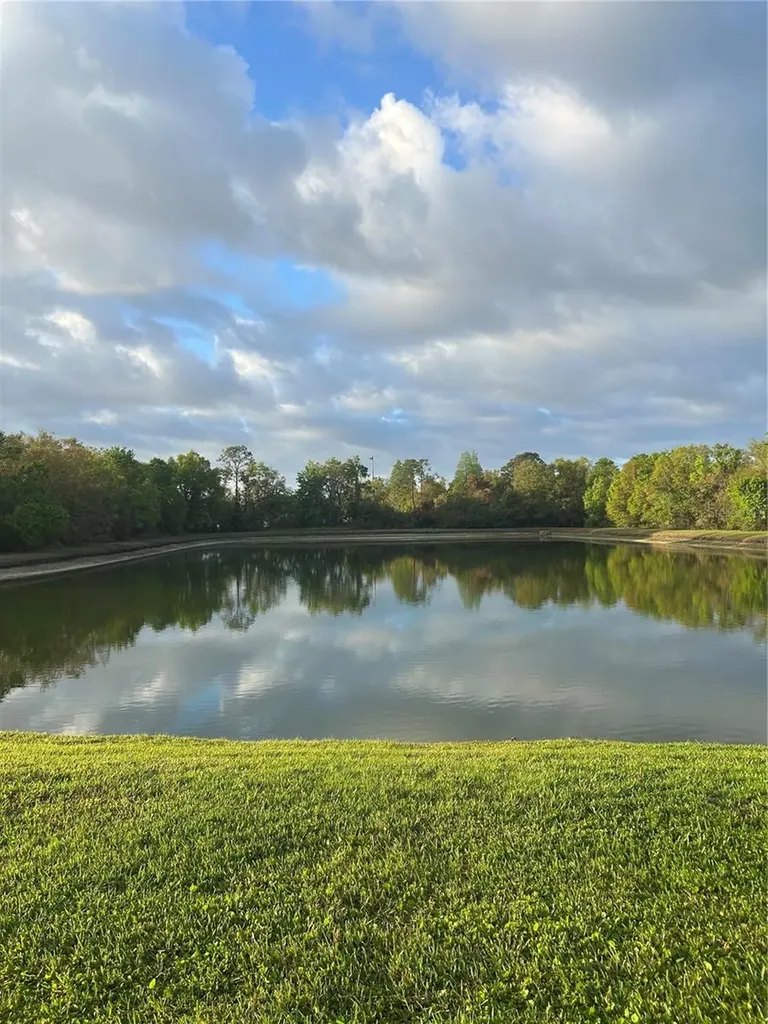 2804 Conch Hollow Drive Brandon FL 33511