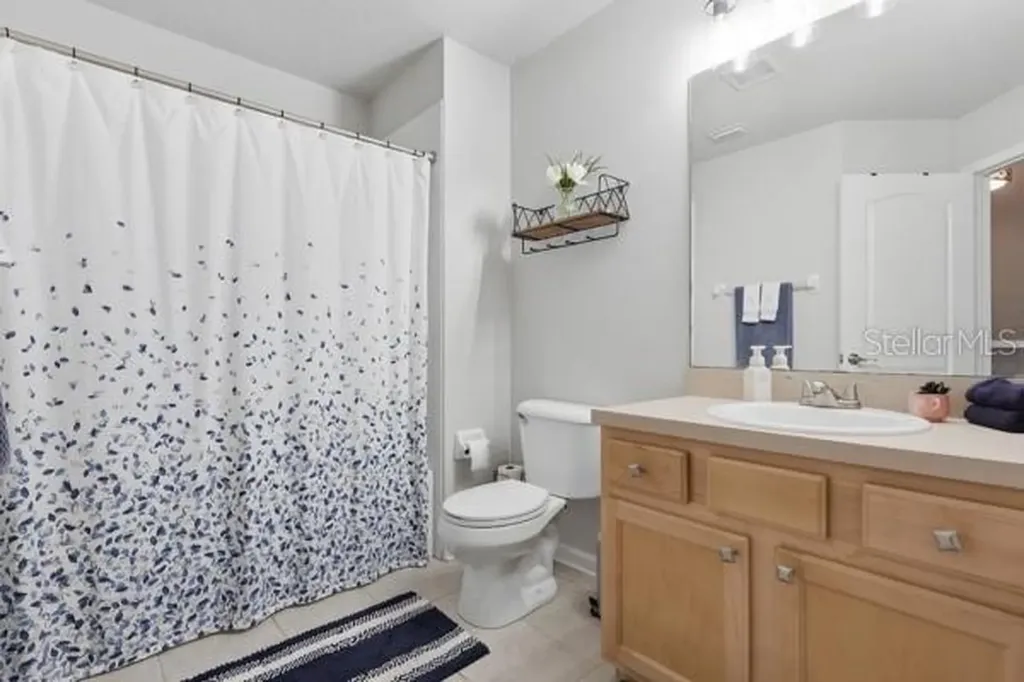 2804 Conch Hollow Drive Brandon FL 33511