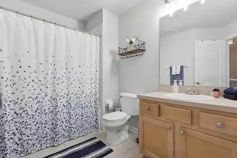 2804 Conch Hollow Drive Brandon FL 33511