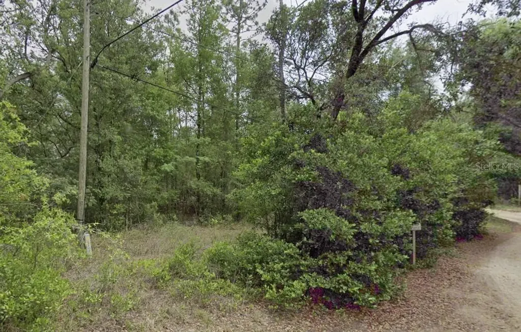 10013 N Holyoak Terrace Dunnellon FL 34433