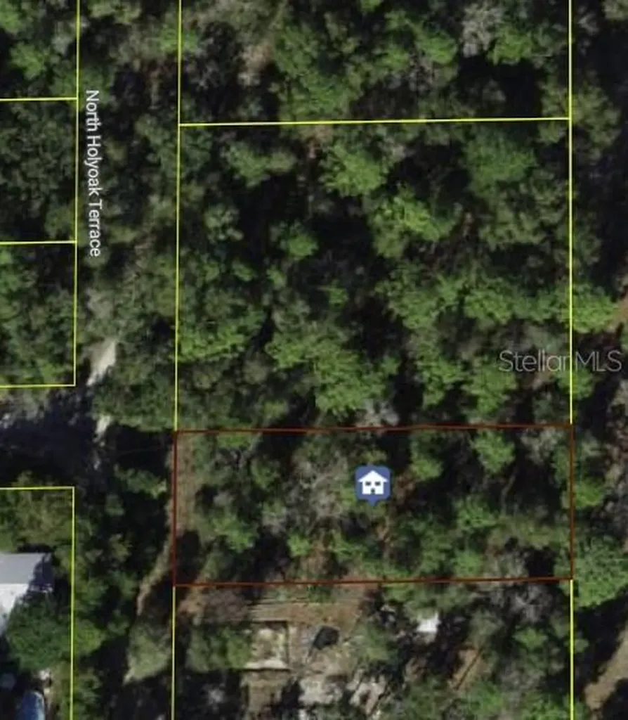 10013 N Holyoak Terrace Dunnellon FL 34433