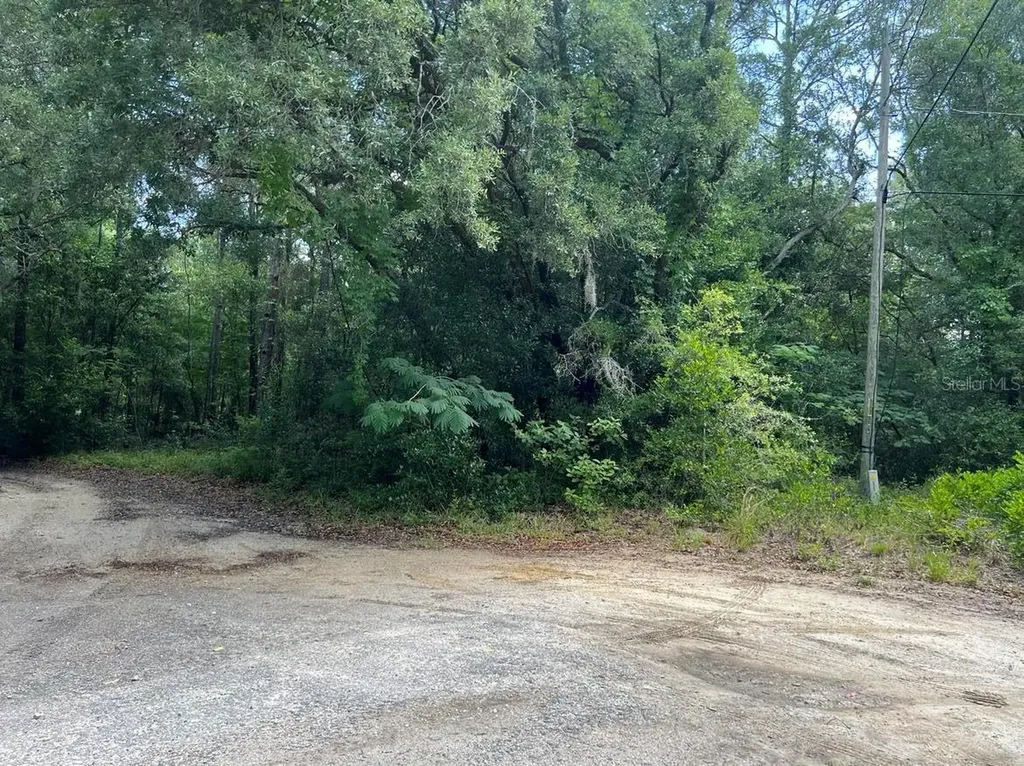 10013 N Holyoak Terrace Dunnellon FL 34433