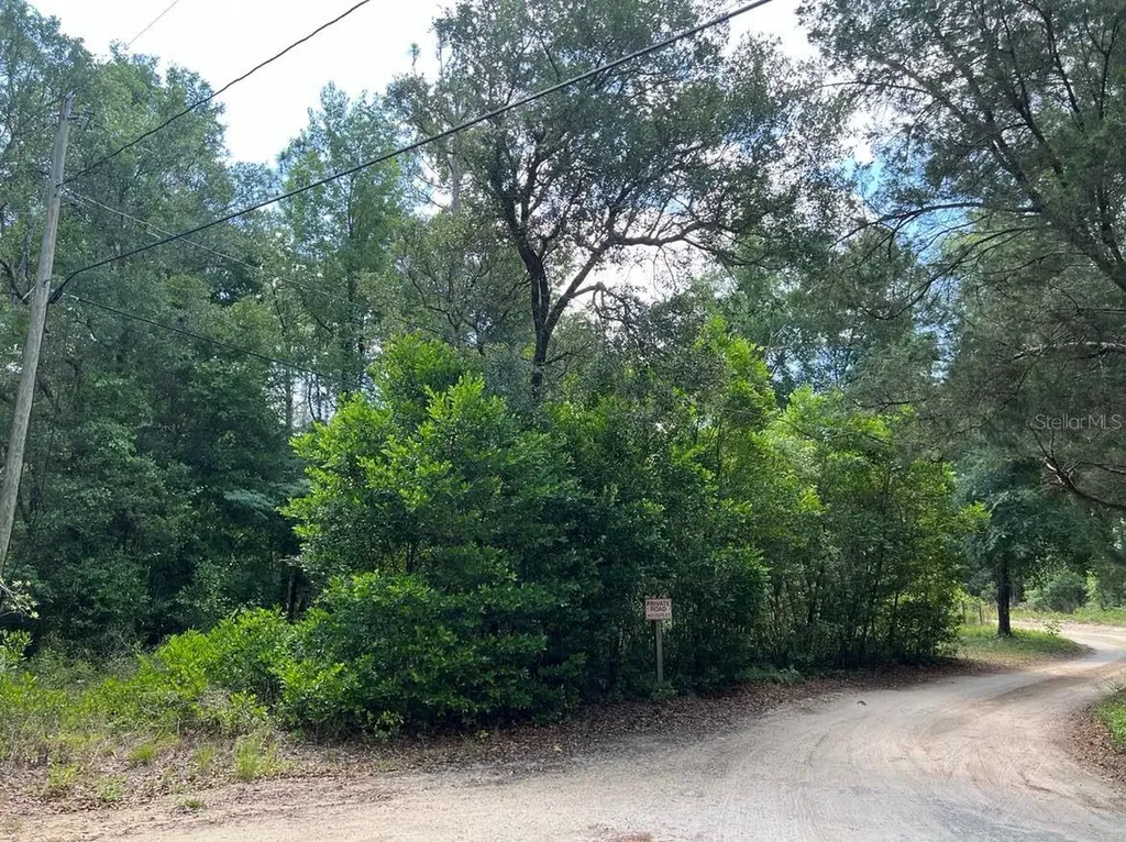 10013 N Holyoak Terrace Dunnellon FL 34433