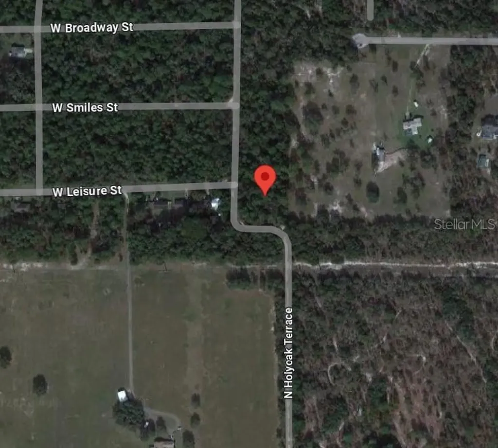 10013 N Holyoak Terrace Dunnellon FL 34433