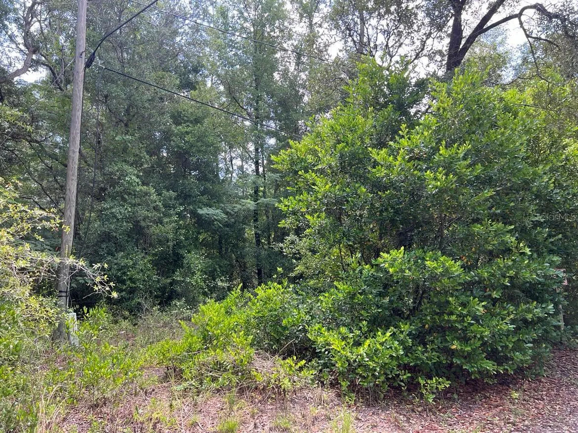 10013 N Holyoak Terrace Dunnellon FL 34433