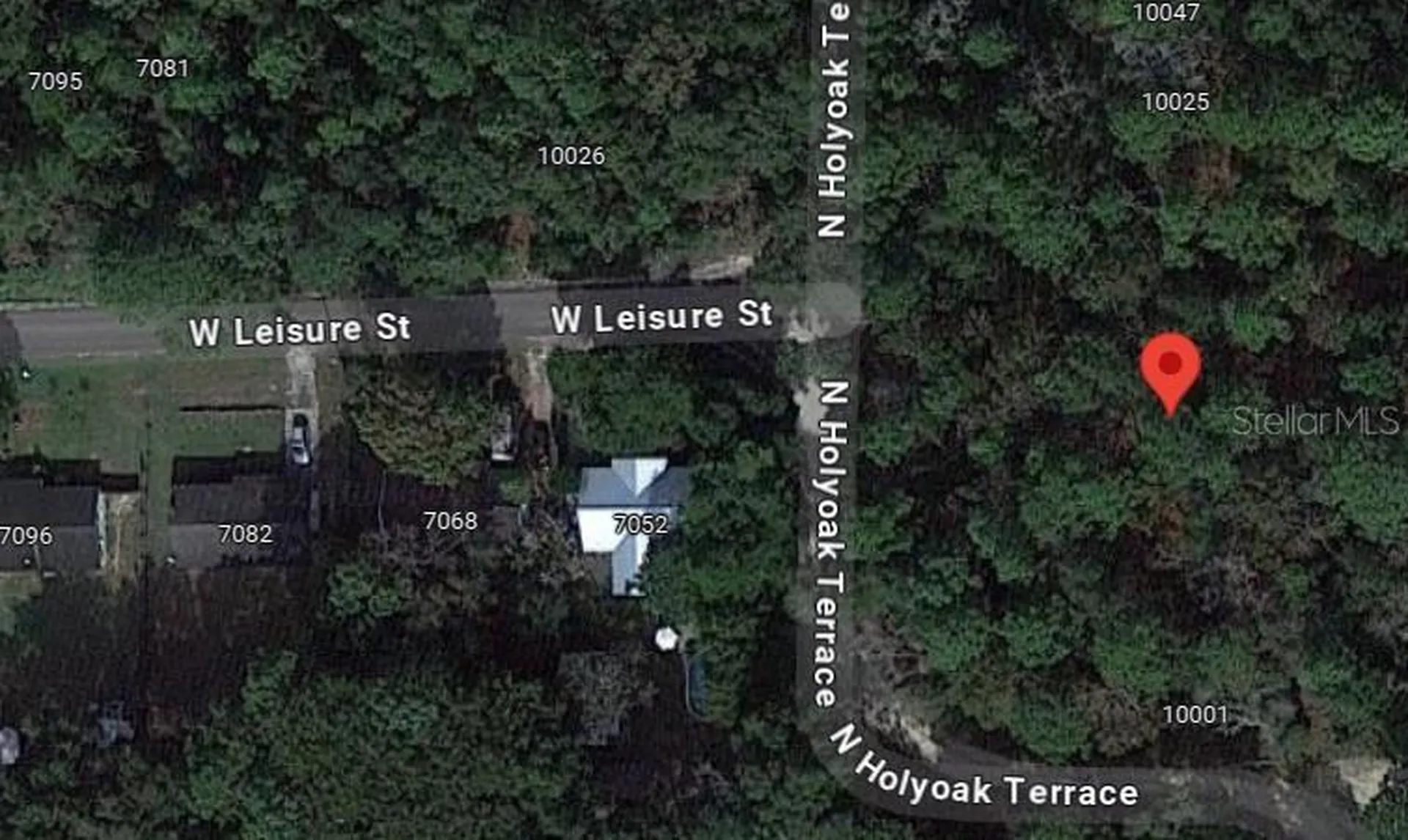 10013 N Holyoak Terrace Dunnellon FL 34433