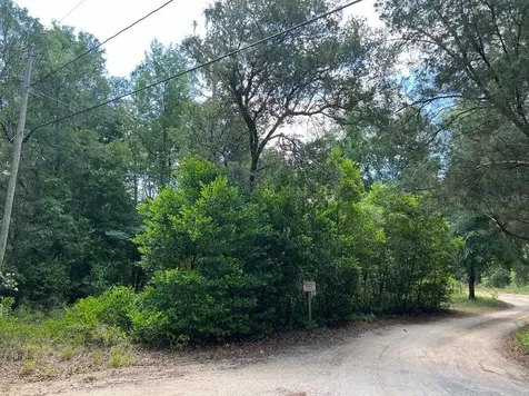 10013 N Holyoak Terrace Dunnellon FL 34433