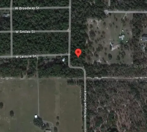 10013 N Holyoak Terrace Dunnellon FL 34433