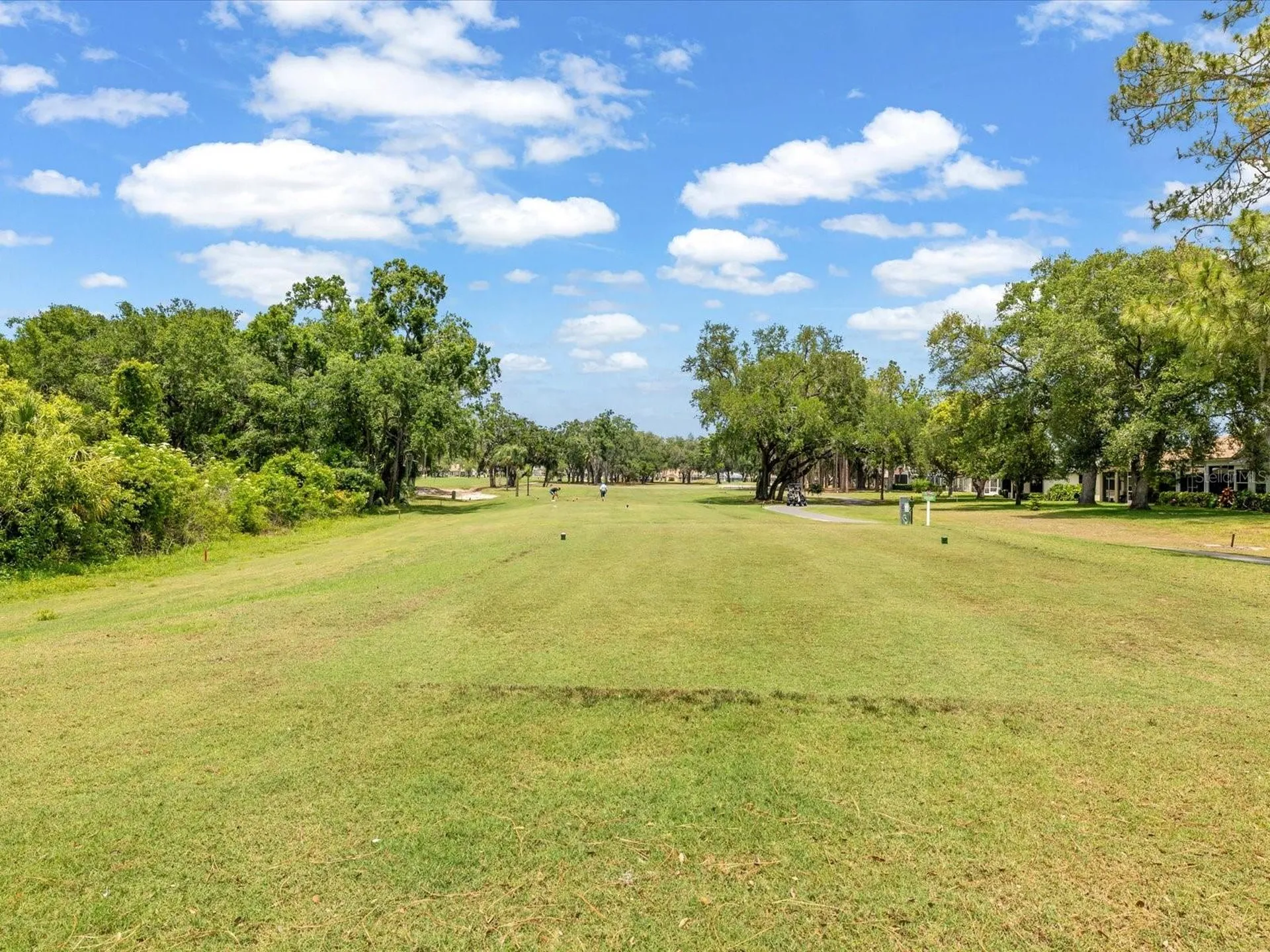 9631 Oakwood Hills Court New Port Richey FL 34655