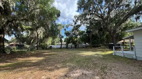 1051 Cr 464 Lake Panasoffkee FL 33538