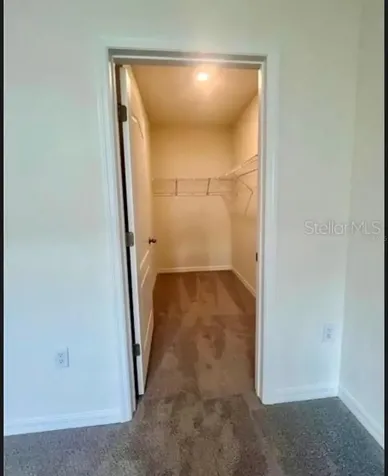 2432 Ribbon Fall Avenue Davenport FL 33837