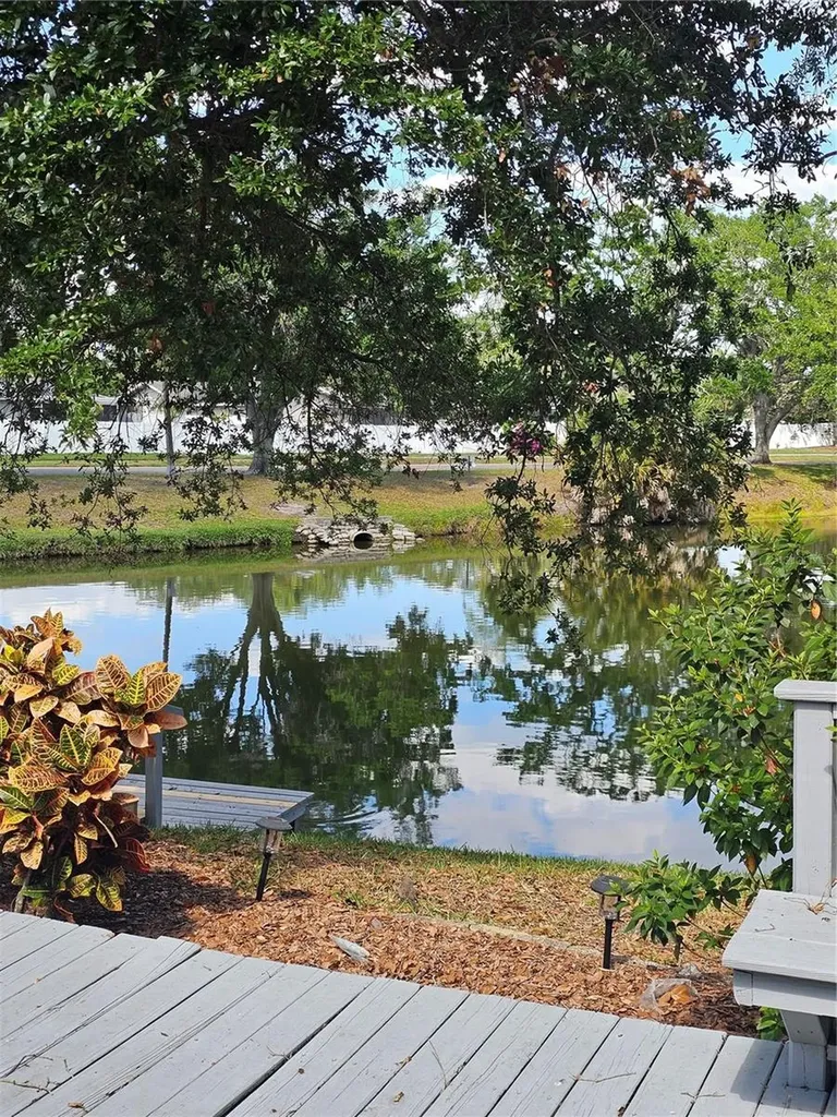 3235 Buckhorn Drive Clearwater FL 33761