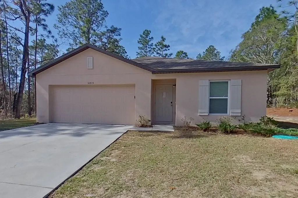 10872 N Frantz Avenue Citrus Springs FL 34434