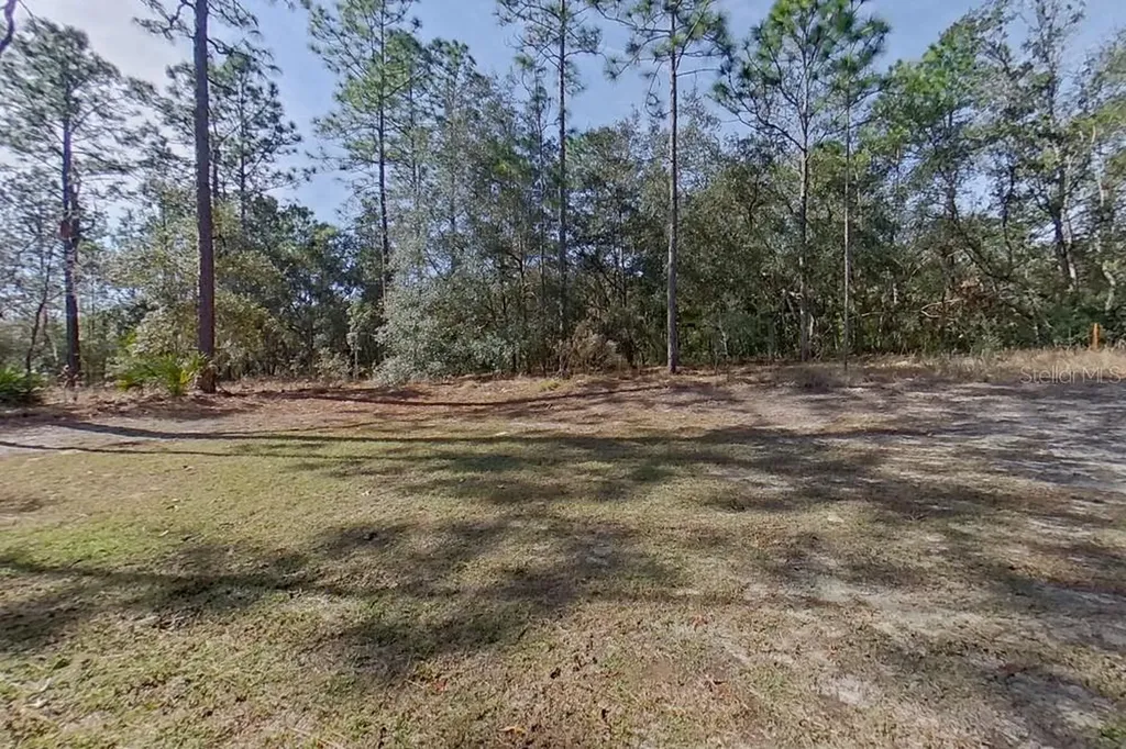 10872 N Frantz Avenue Citrus Springs FL 34434