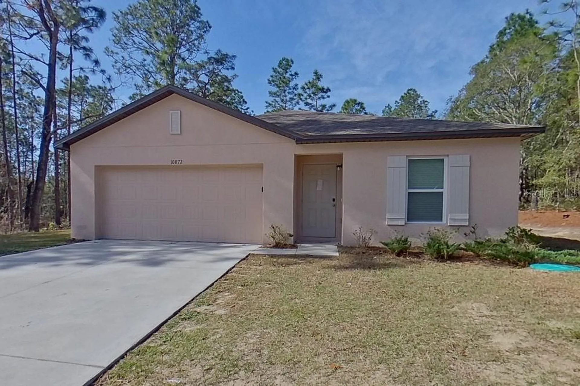 10872 N Frantz Avenue Citrus Springs FL 34434
