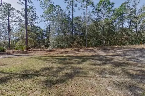 10872 N Frantz Avenue Citrus Springs FL 34434