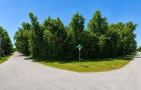 8340 W Bradshaw Street Homosassa FL 34448