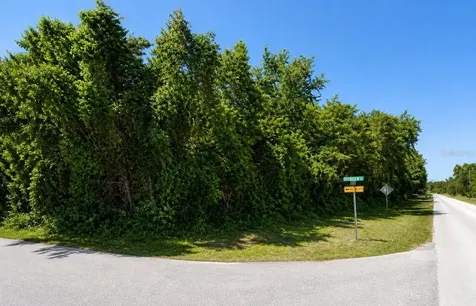 8340 W Bradshaw Street Homosassa FL 34448
